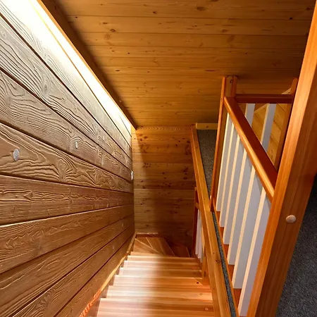 Daire Stella Haus Dzianisz