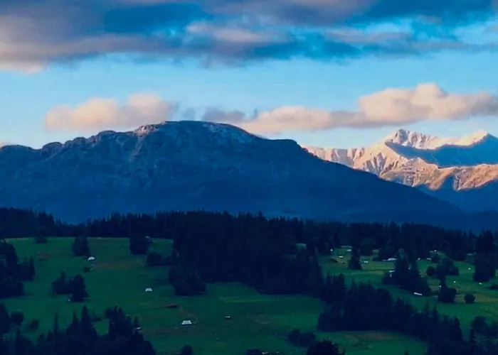 Apartman Stella Haus Dzianisz